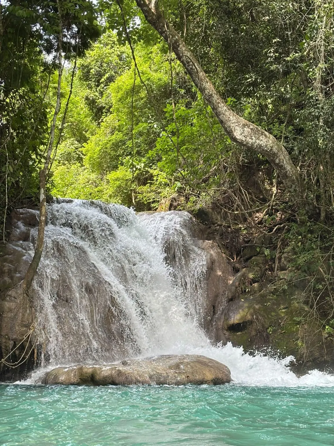 Cascada de agua turquesa rodeada de selva
