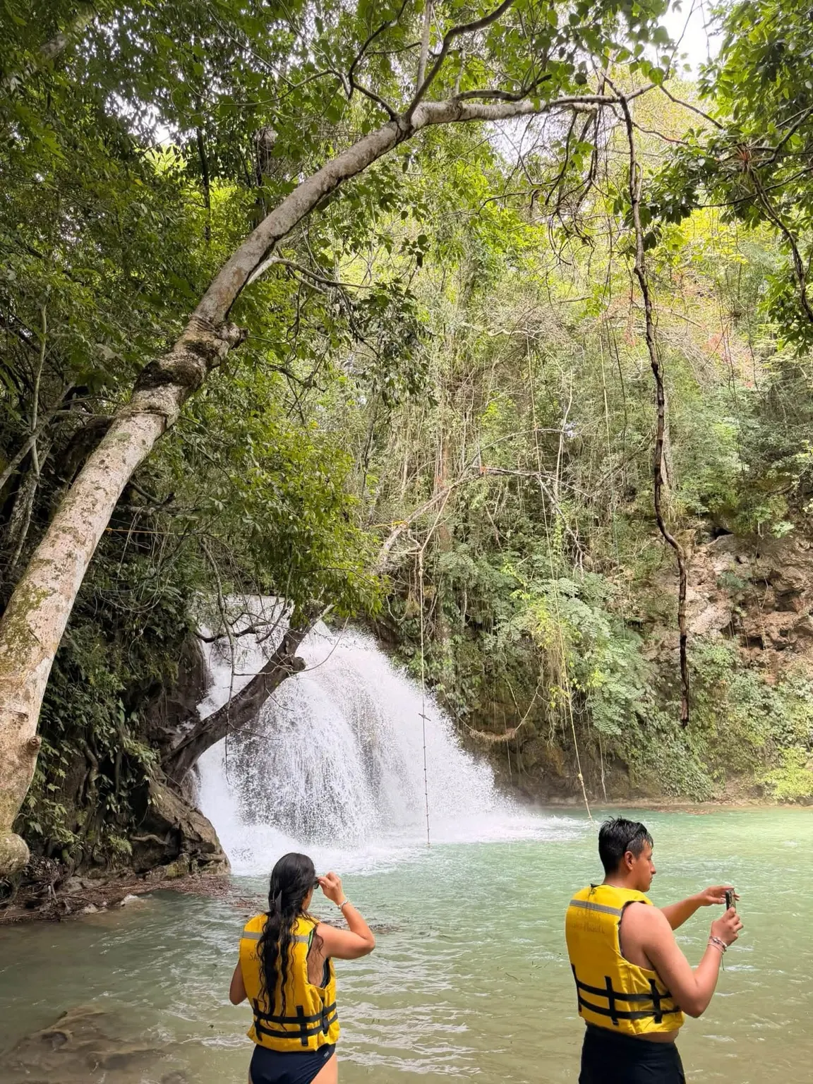Experiencia de naturaleza de Tierra de Cascadas, fotografía 3