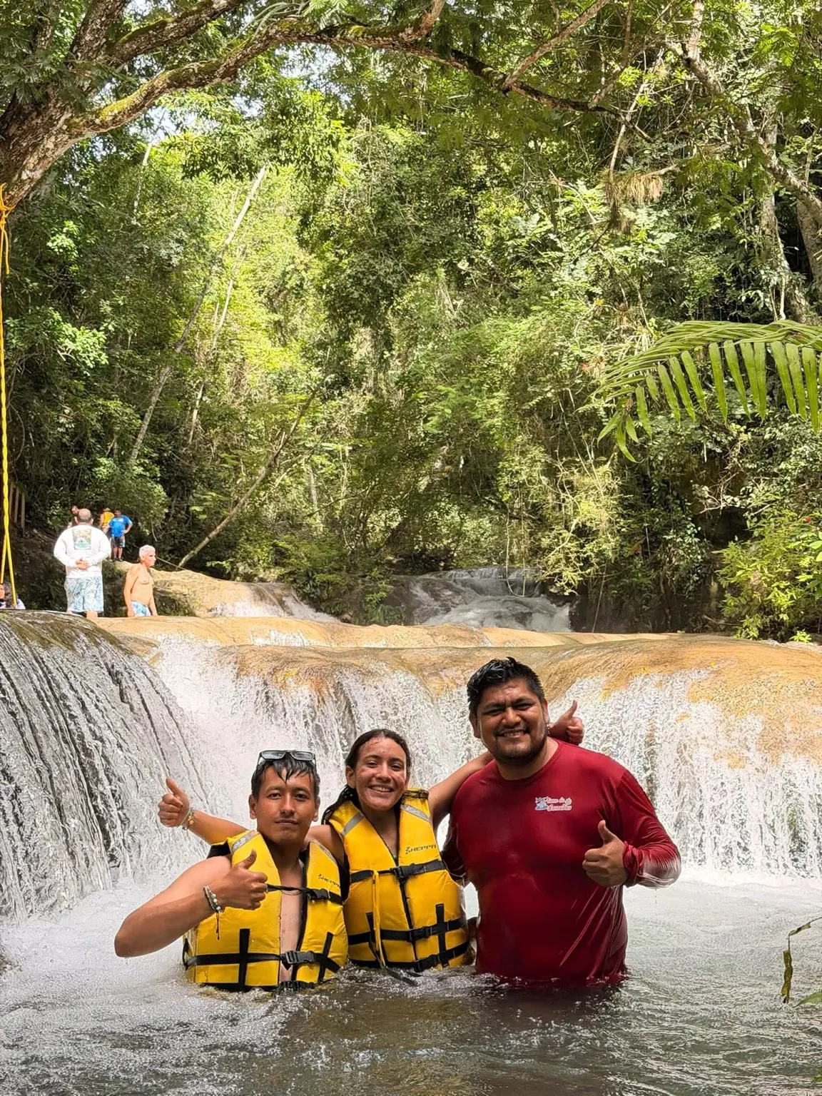 Grupo de excursionistas en un bosque tropical